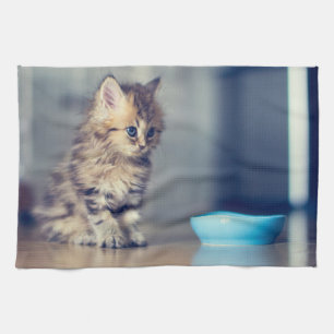 Paño De Cocina Animales de bebé más afectados   Gatito persa de o