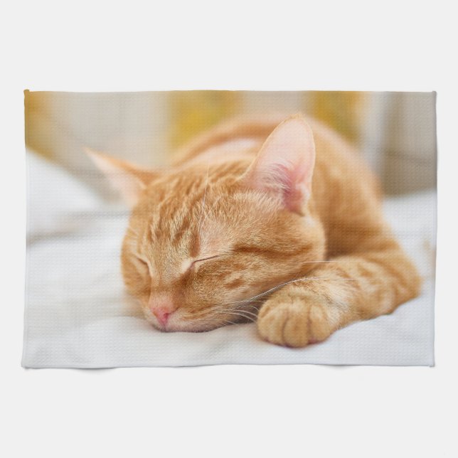 Paño De Cocina Animales de bebé más afectados | Gato de jengibre  (Horizontal)