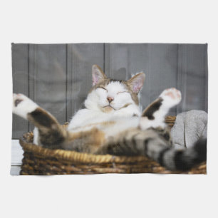 Paño De Cocina Animales de bebé más afectados Gato en la cama