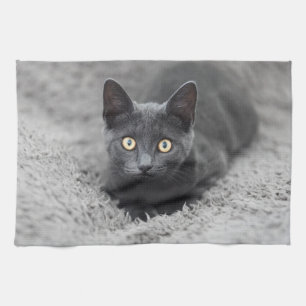 Paño De Cocina Animales de bebé más afectados   Gato gris