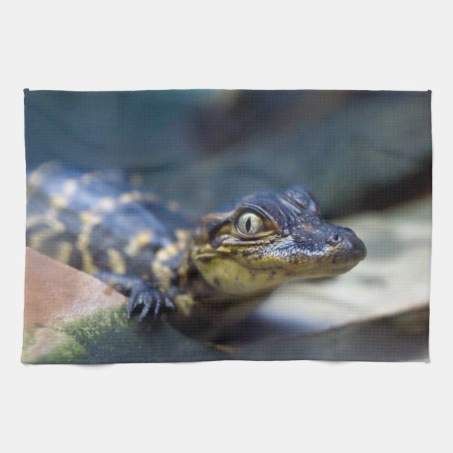 Paño De Cocina Animales de bebé más afectados | Joven lagarto (Horizontal)