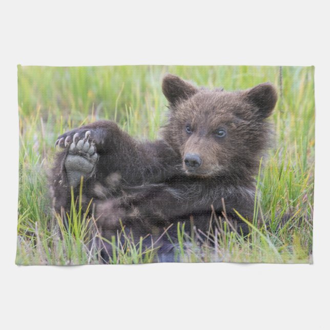 Paño De Cocina Animales de bebé más afectados | Jugar con el cubo (Horizontal)