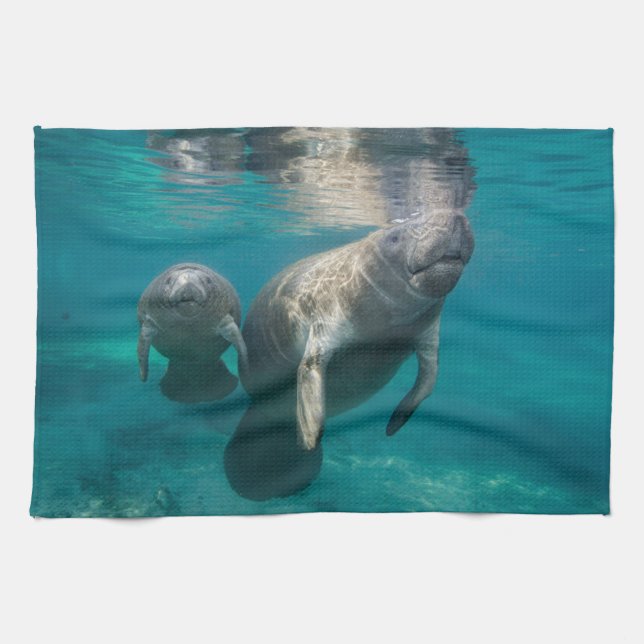 Paño De Cocina Animales de bebé más afectados | Manatee & Baby (Horizontal)