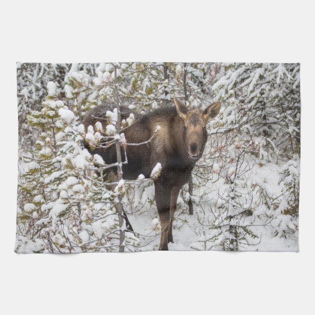 Paño De Cocina Animales de bebé más afectados | Moose Calf (Horizontal)