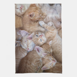 Paño De Cocina Animales de bebé más afectados Naranja Kitten Pi