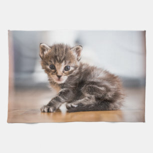 Paño De Cocina Animales de bebé más afectados   Pequeño Gatito De