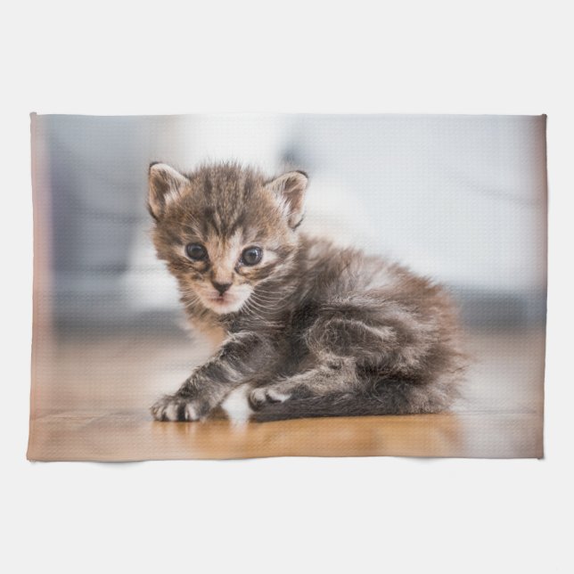 Paño De Cocina Animales de bebé más afectados | Pequeño Gatito De (Horizontal)