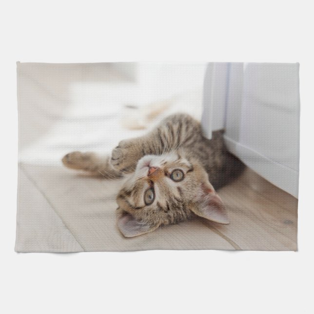 Paño De Cocina Animales de bebé más afectados | Shorthair Tabby K (Horizontal)