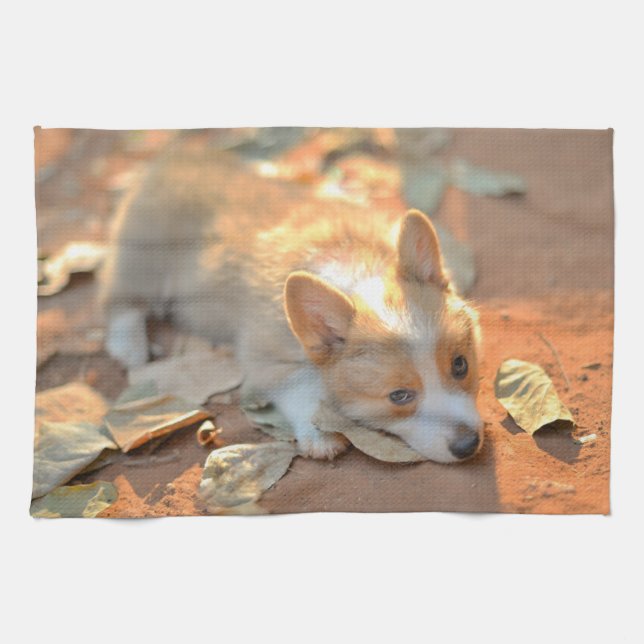 Paño De Cocina Animales de bebé más afectados | Shy Corgi (Horizontal)