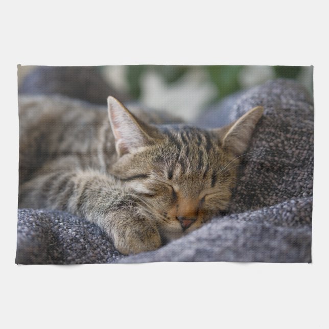 Paño De Cocina Animales de bebé más afectados | Tabby Kitten Slee (Horizontal)