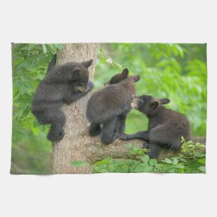 Paño De Cocina Animales de bebé más afectados Tres jóvenes osez
