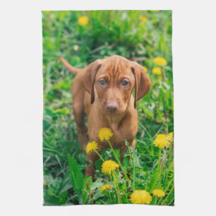 Paño De Cocina Animales de bebé más afectados   Tubería de punter