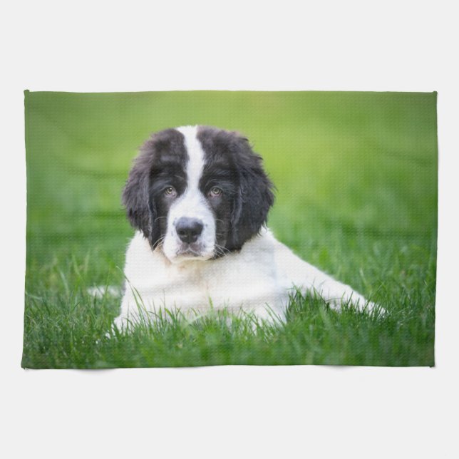 Paño De Cocina Animales de bebé más afectados | Tubería de Terran (Horizontal)