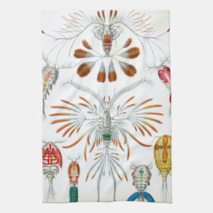 Paño De Cocina Animales Oceánicos Antiguos, Copepoda por Ernst Ha