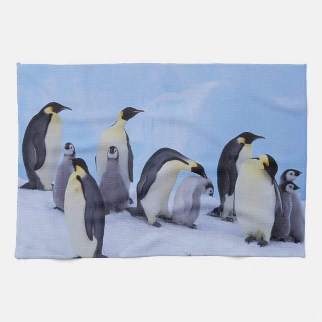 Paño De Cocina Antártida, Pingüinos Emperadores (Horizontal)