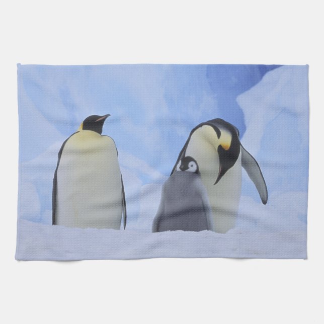 Paño De Cocina Antártida. Pingüinos emperadores y cría (Horizontal)
