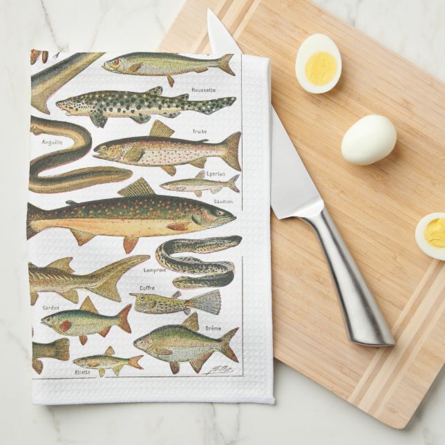 Paño De Cocina Antique fish chart Under-the-sea (Doblado Cuarto)