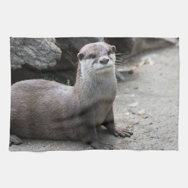 Paño De Cocina Aonyx cinerea (Horizontal)