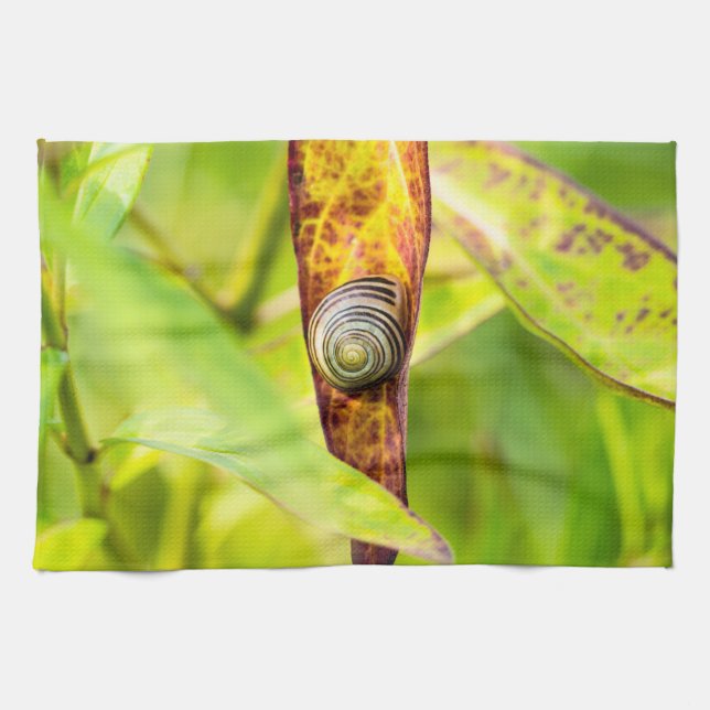 Paño De Cocina apego (Horizontal)