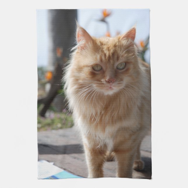 Paño De Cocina Apurar (Vertical)