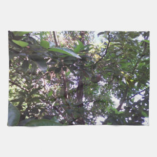 Paño De Cocina Árbol de aguacate