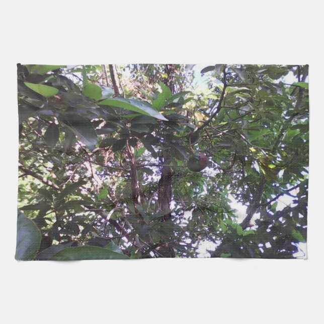 Paño De Cocina Árbol de aguacate (Horizontal)