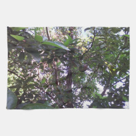 Paño De Cocina Árbol de aguacates