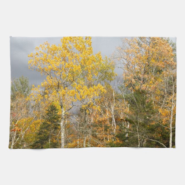 Paño De Cocina Árboles amarillos en New Hampshire 7712 (Horizontal)