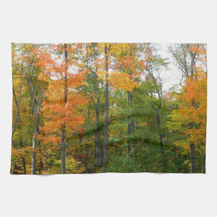 Paño De Cocina Árboles de Arce de Otoño Fotografía de la Naturale