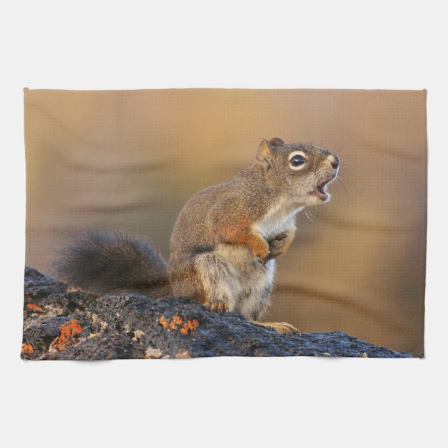 Paño De Cocina Ardilla del canto (Horizontal)