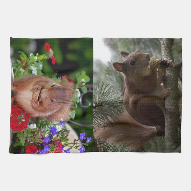 Paño De Cocina Ardillas lindas (Horizontal)