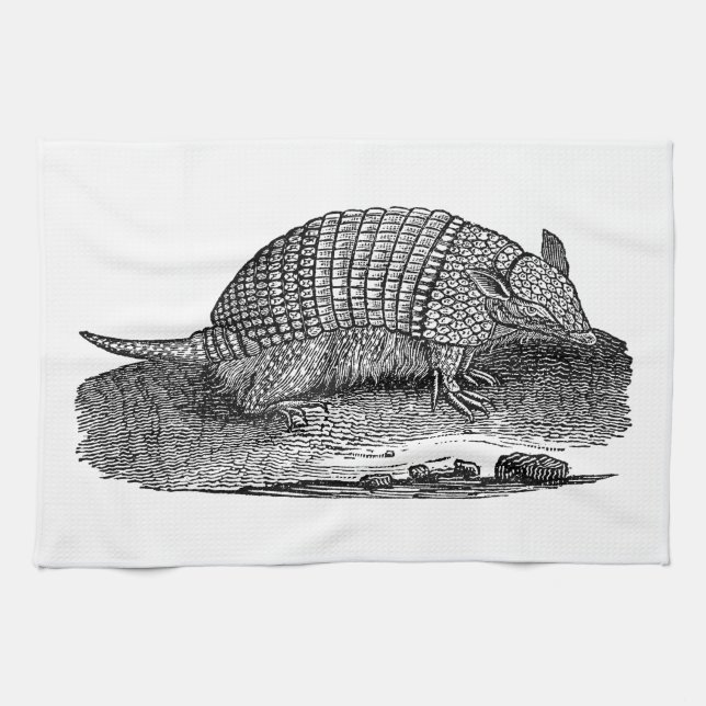 Paño De Cocina Armadillos retros de la antigüedad del armadillo (Horizontal)