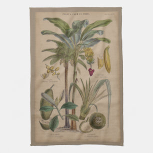 Paño De Cocina Arte botánico de frutas tropicales palmo antiguo