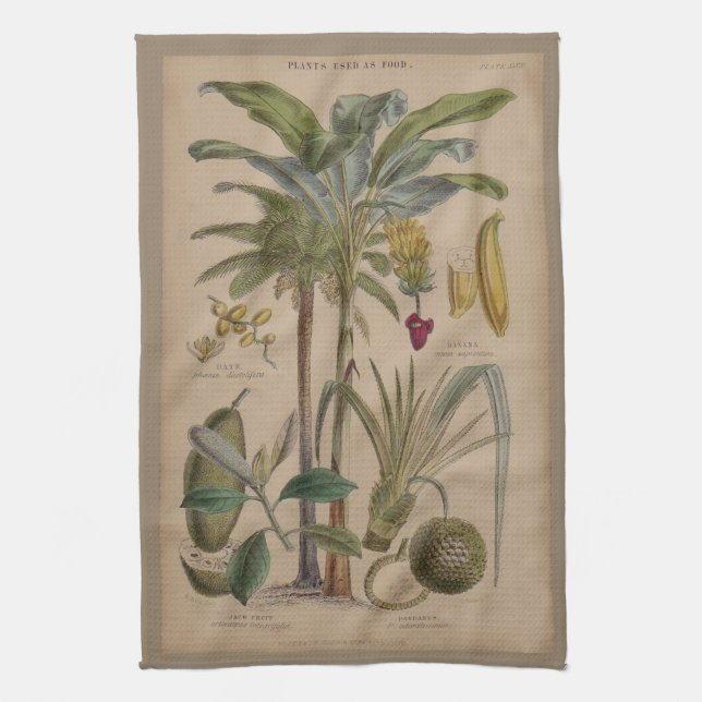 Paño De Cocina Arte botánico de frutas tropicales palmo antiguo (Vertical)