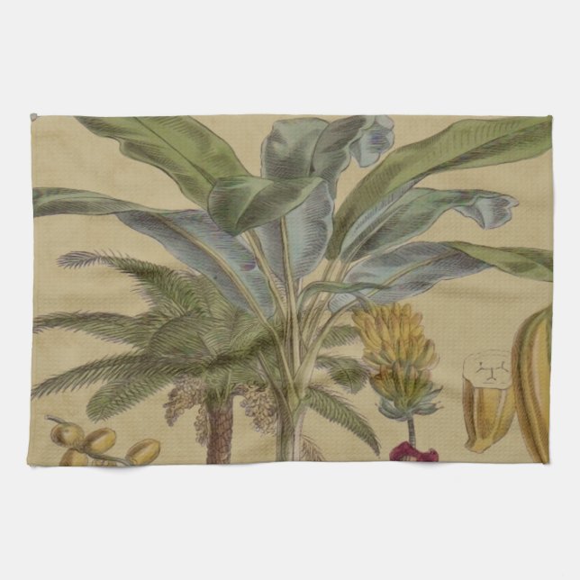 Paño De Cocina Arte botánico de frutas tropicales palmo antiguo (Horizontal)