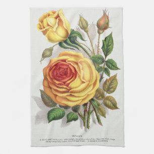 Paño De Cocina Arte Botánico Vintage Rosa Amarilla y Naranja de A