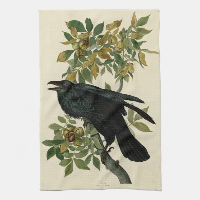 Paño De Cocina Arte clásico Audubon Raven (Vertical)