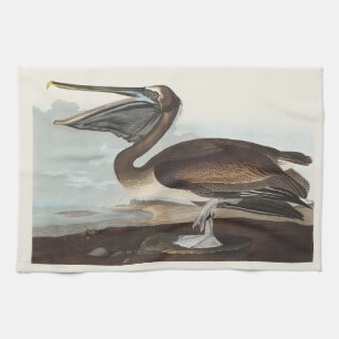 Paño De Cocina Arte de Ave Costera Vintage Audubon Pelícano Pardo