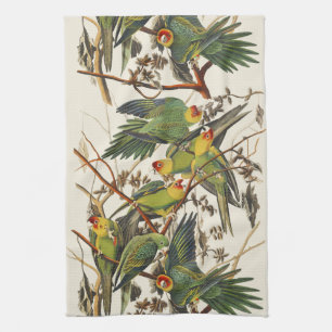 Paño De Cocina Arte de ave del loro de Carolina de Audubon vintag