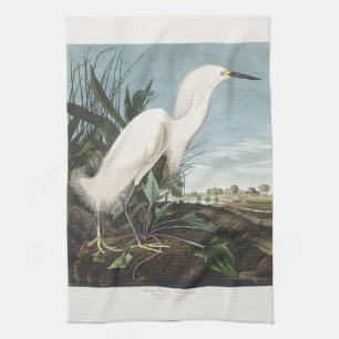 Paño De Cocina Arte de Ave Garza Blanca de Audubon Vintage