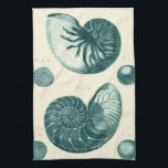 Paño De Cocina Arte de conchas rojas y verdes<br><div class="desc">El artista Denis Diderot es talentoso y conocido por sus imágenes de la vida marina. En esta vívida imagen, captura dos conchas de concha rojas y verdes en su estilo más natural. Los ciervos suelen estar acribillados como estas dos conchas y en un tono sepia. Obtén tu producto de conchas...</div>
