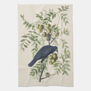 Paño De Cocina Arte de la naturaleza del cuervo americano Audubon
