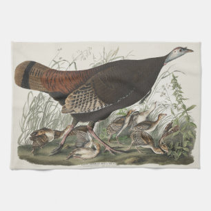Paño De Cocina Arte de Pava Silvestre Hembra y Joven de Audubon V