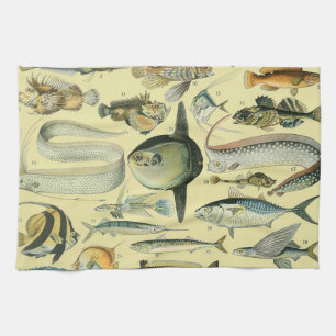 Paño De Cocina Arte de pesca científica de peces de época