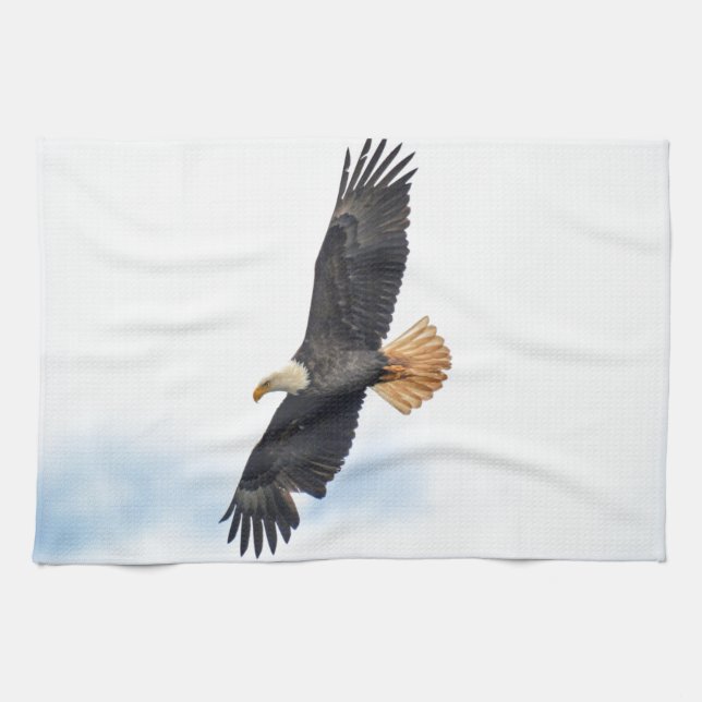 Paño De Cocina Arte fotográfico del águila calva salvaje (Horizontal)