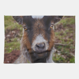 Paño De Cocina Ascendente cercano de la cabra