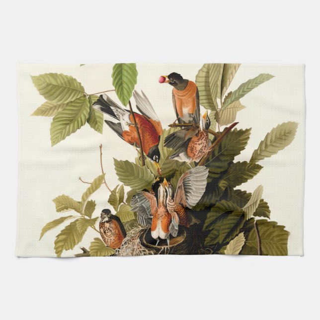 Paño De Cocina Audubon American Robin Wildlife Bird Ilustracion (Horizontal)