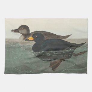 Paño De Cocina Audubon American Scoter Duck Classic