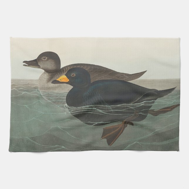 Paño De Cocina Audubon American Scoter Duck Classic (Horizontal)