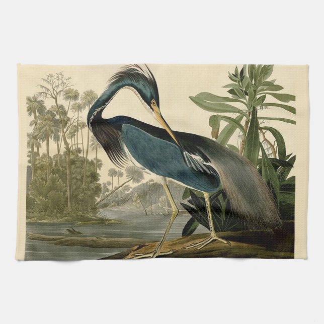 Paño De Cocina Audubon Louisiana Heron Birds America Art (Horizontal)